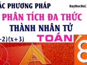 Các phương pháp phân tích đa thức thành nhân tử và bài tập vận dụng - Toán lớp 8